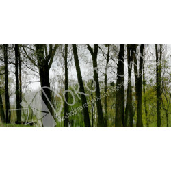 Szymon Pawlicki: „Odbicie”