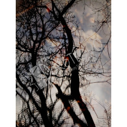Tomasz Dymski: „Drzewo w...