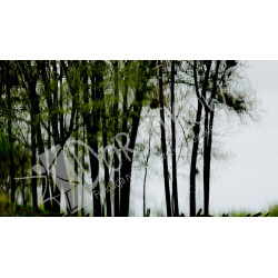 Aleksander Biernacki: "Smukłe"